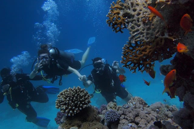 Scuba Diving Instructor - Cruise Ship Worker - A job for a lifestyle blogger